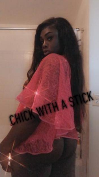 3059003980, female escort, West Palm Beach
